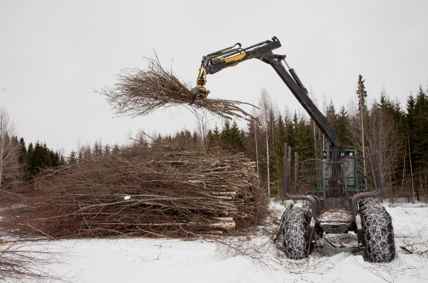 Energiapuun hinnat kävivät korkeimmillaan viime vuoden syksyllä ja viime talvena. Sen jälkeen hinnat ovat laskeneet kolmasosalla. (Kuva: Mikko Riikkilä)