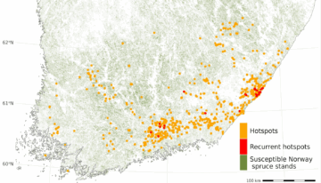 Kirjanpainajatuhoryppäät olivat tutkimusjaksolla yleisempiä Kaakkois-Suomessa, mutta niiden toistuva esiintyminen oli harvinaista.