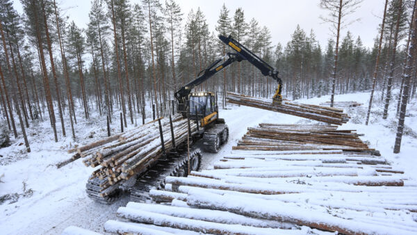 Jos Metsä Groupin suunnitelmat toteutuvat, jatkossa sille puunkorjuuta urakoivat vain yritykset, joiden korjuukapasiteetti on vähintään 300 000 kuutiota puuta vuodessa.  (Kuvaaja: Sami Karppinen)
