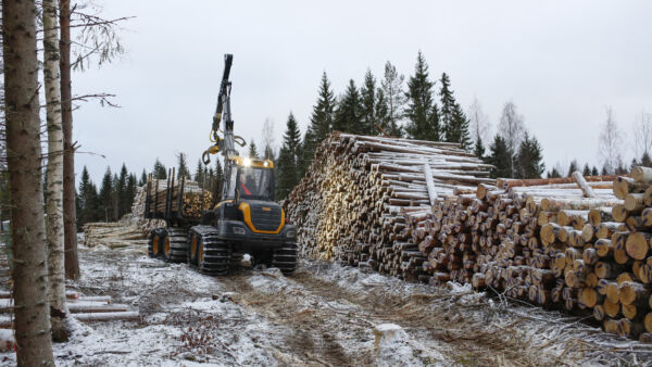 Puumarkkinassa on poikkeuksellista epävarmuutta, mikä tekee urakoitsijoidenkin työstä haastavaa. Yhteinen toive alalla on kuitenkin, että töitä päästäisiin tekemään pian kunnon talvikelissä. (Kuvaaja: Sami Karppinen)