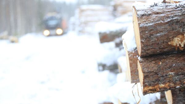 Metsäyhtiö Stora Enson ja Junnikkalan sahojen yhdistyminen on jättänyt osan metsäkoneyrityksistä ja puunkuljetusyrityksistä ilman töitä. (Kuvaaja: Sami Karppinen)