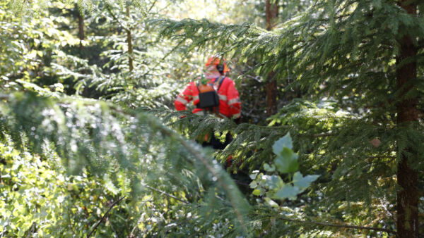 Tornator kertoo tarkastavansa nykyään sopimuskumppanit sekä näiden käyttämät aliurakoitsijat työntekijätasolle asti. (Kuva: Sami Karppinen)
