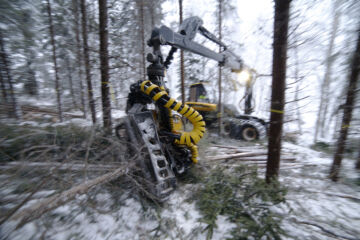 Hakkuukoneet ja metsätraktorit käyttävät säästä ja maastosta riippuen noin 15 litraa polttoainetta tunnissa. (Kuva: Mikko Riikilä)