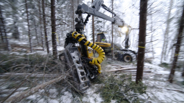 Hakkuukoneet ja metsätraktorit käyttävät säästä ja maastosta riippuen noin 15 litraa polttoainetta tunnissa. (Kuva: Mikko Riikilä)