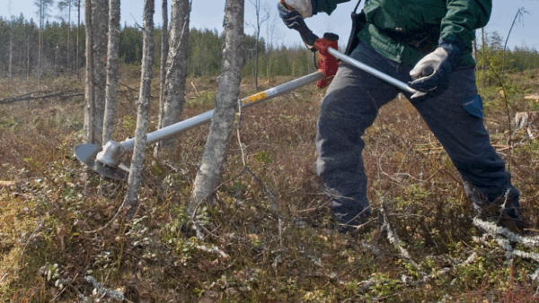 Tutkinnassa olevien yritysten viisumeilla ja oleskeluluvilla maahan on saapunut 179 henkilöä. Osa on poistunut jo muualle Eurooppaan. (Kuva: Mikko Riikilä)