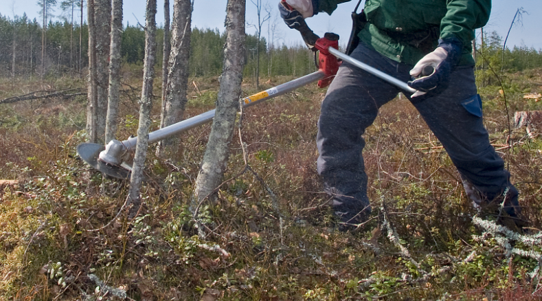 Tutkinnassa olevien yritysten viisumeilla ja oleskeluluvilla maahan on saapunut 179 henkilöä. Osa on poistunut jo muualle Eurooppaan. (Kuva: Mikko Riikilä)