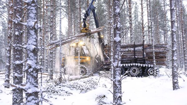 Tulevasta talvesta näyttää tulevan normaalin vauhdikas, Metsä Groupilta kerrotaan. Kuva on arkistokuva. (Kuva: Sami Karppinen)