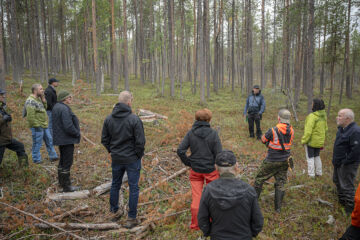 Edellinen FSC:n riskinarvio pysäytti puukaupat lähes täysin Ylä-Lapin yksityismetsissä. Puukauppajumiin etsittiin syyskuussa ratkaisuja metsäseminaarissa Ivalossa. (Kuvaaja: Otto Ponto)