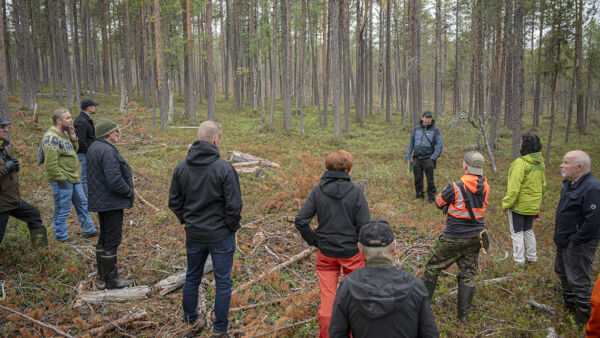 Edellinen FSC:n riskinarvio pysäytti puukaupat lähes täysin Ylä-Lapin yksityismetsissä. Puukauppajumiin etsittiin syyskuussa ratkaisuja metsäseminaarissa Ivalossa. (Kuvaaja: Otto Ponto)