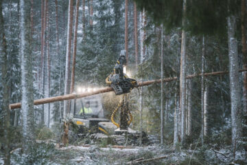 Suomen metsät kasvavat edelleen enemmän kuin niitä hakataan, Hannu Ilvesniemi muistuttaa. Kuva: Seppo Samuli