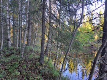 Pikkutilan kuutiohinta oli huomattavan korkea. Tunnelmallinen pieni joki saattoi nostaa hintaa, vaikka rakennusoikeutta ei lähtökohtaisesti olekaan.