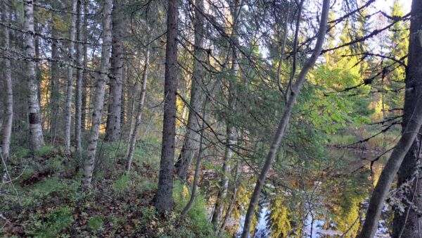 Pikkutilan kuutiohinta oli huomattavan korkea. Tunnelmallinen pieni joki saattoi nostaa hintaa, vaikka rakennusoikeutta ei lähtökohtaisesti olekaan.