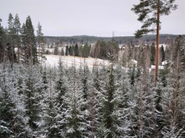 Kuva: Hannu Liljeroos