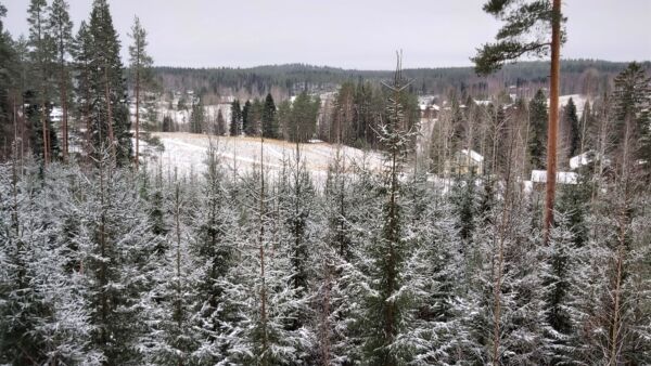 Kuva: Hannu Liljeroos