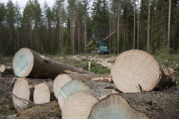 Meto-yrittäjien PEFC-ryhmässä on määrä painottaa kiinteistöillä tapahtuvia tarkastuksia: työjälkeä ja monimuotoisuusseikkoja. Tarkastukset hoitaa aina ulkopuolinen taho. (Kuvaaja: Mikko Riikilä)