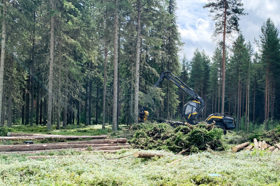 Markkinaheilahdukset voivat hetkellisesti nostaa esimerkiksi energiapuun kannattavuutta, mutta pidemmän päälle paras tili tehdään oikeaan aikaan myydyllä tukilla. (Kuvaaja: Tiia Puukila)