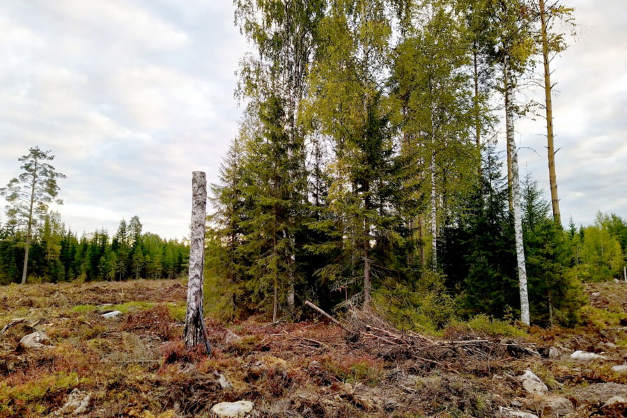 Ulkopuoliset auditointiyritykset ovat havainneet tarkastuksissaan yhä vakavampia rikkeitä. Vain Länsi-Suomessa ei ole tehty lainkaan ilmoituksia vakavista poikkeamista.