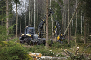 Kilpahuuto vuotuisten hakkuumäärien rajoittamisesta on Mikko Riikilän mielestä saanut hulvattomia piirteitä. (Kuvaaja: Seppo Samuli)