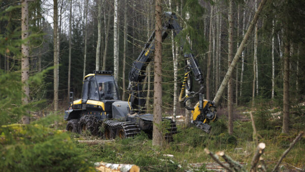 Kilpahuuto vuotuisten hakkuumäärien rajoittamisesta on Mikko Riikilän mielestä saanut hulvattomia piirteitä. (Kuvaaja: Seppo Samuli)