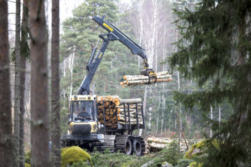 SM-Korjuun työmäärissä maailmantalouden ja puukaupan heikko tilanne ei näy. Yrityksen toinen koneketju korjasi marraskuun lopulla puuta pyhtääläisessä leimikossa Kymenlaaksossa. (Kuvaaja: Seppo Samuli)
