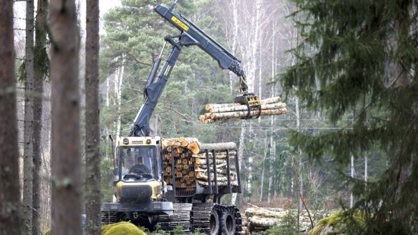 SM-Korjuun työmäärissä maailmantalouden ja puukaupan heikko tilanne ei näy. Yrityksen toinen koneketju korjasi marraskuun lopulla puuta pyhtääläisessä leimikossa Kymenlaaksossa. (Kuvaaja: Seppo Samuli)
