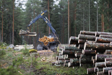 Metsävähennyksen voi ottaa käyttöönsä, jos metsätila on hankittu kaupalla vuoden 1992 jälkeen. Vähennystä voi käyttää tästä vuodesta eteenpäin niinä vuosina, kun metsätalouden tuloja kertyy vähintään 2 000 euroa. (Kuvaaja: Seppo Samuli)