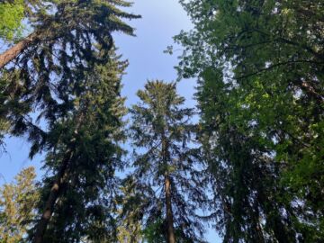 On mahdollista, että kaikki yhtiön ostamat tilat eivät ole olleet julkisesti kaupan eivätkä näin ollen ole tässä seurannassa mukana.