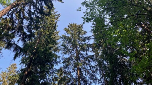 On mahdollista, että kaikki yhtiön ostamat tilat eivät ole olleet julkisesti kaupan eivätkä näin ollen ole tässä seurannassa mukana.