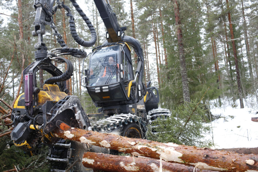 Puunkorjuussa on menty tänä syksynä pitkälti tukkipuun kysynnän ehdoilla, kun kuitupuun käyttöä on rajoitettu. Tässä tukkia katkottiin urakoitsija Veljekset Hokkanen Oy:n työmaalla Kangasniemellä tammikuussa 2025. (Kuvaaja: Sami Karppinen)
