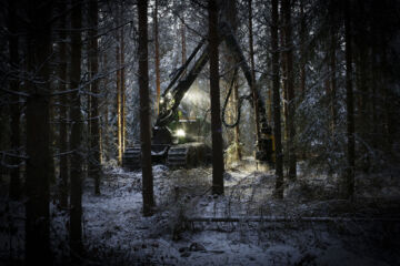 Ennalistamisasetus vaikuttaa väistämättä laaja-alaisesti metsäsektoriin. Kuinka paljon, se riippuu kansallisesta toteutuksesta tulevina vuosina.  (Kuvaaja: Sami Karppinen)