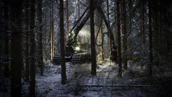 Ennallistamisasetus vaikuttaa väistämättä laaja-alaisesti metsäsektoriin. Kuinka paljon, se riippuu kansallisesta toteutuksesta tulevina vuosina.  (Kuvaaja: Sami Karppinen)