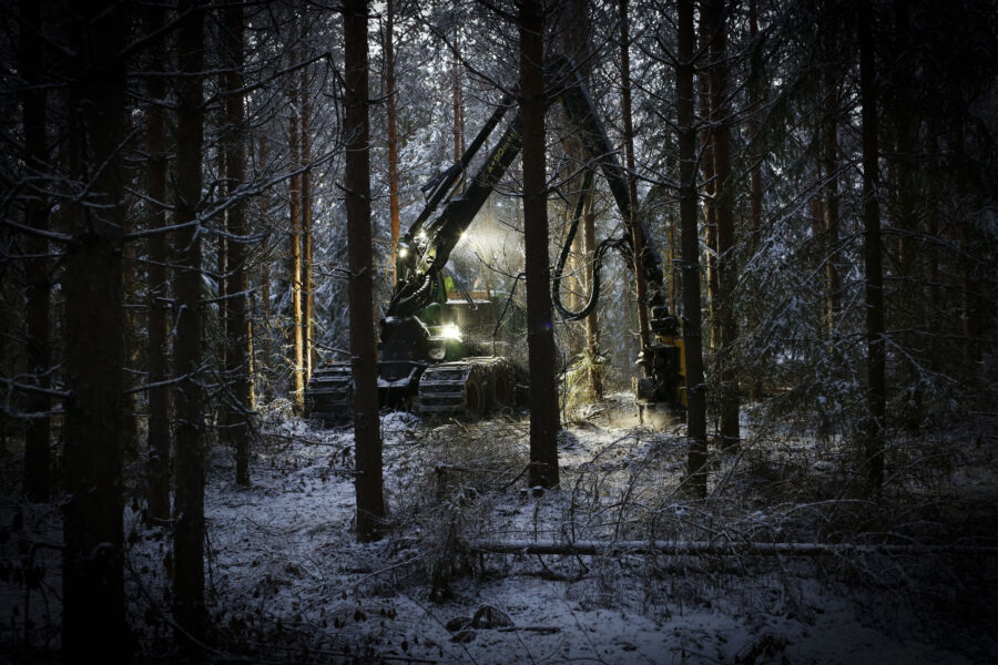 Ennallistamisasetus vaikuttaa väistämättä laaja-alaisesti metsäsektoriin. Kuinka paljon, se riippuu kansallisesta toteutuksesta tulevina vuosina.  (Kuvaaja: Sami Karppinen)