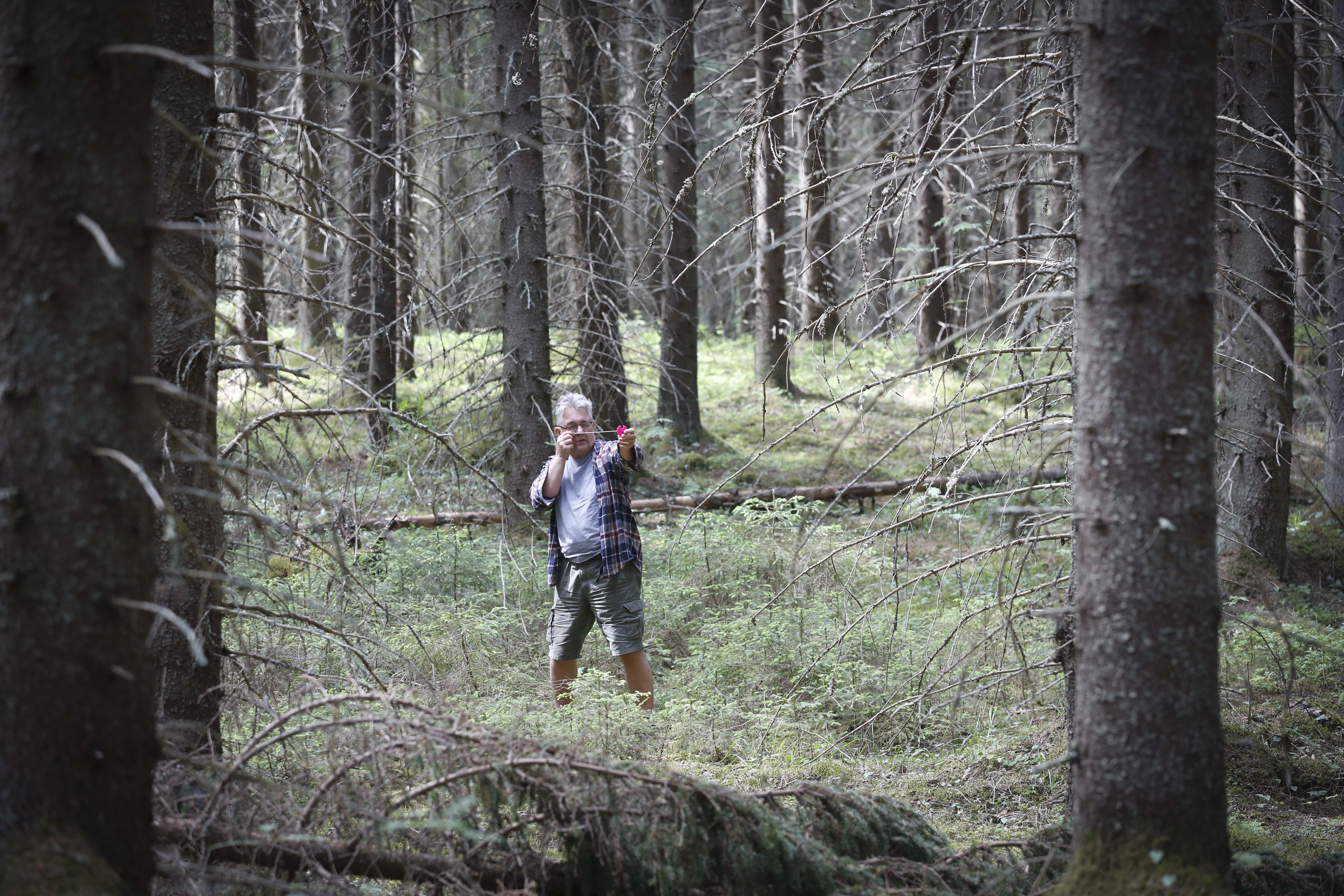 Niin kutsutuiksi HCV-alueiksi rajattiin ainakin alkuvaiheessa paljon alueita, joilla ei ollut erityisiä luontoarvoja. Metsälehti tutustui syksyllä 2019 tähän HCV-merkinnän saaneeseen metsään Päijät-Hämeessä, joka osoittautui erittäin puustoiseksi hoidetuksi talousmetsäksi. Kyseessä ei ole jutussa esiintyvän Matti Tulokkaan metsä. (Kuvaaja: Sami Karppinen)