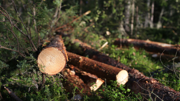  (Kuvaaja: Sami Karppinen)