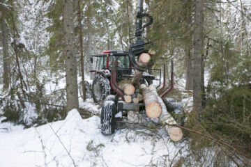 Metsänomistajien on syytä muistaa oma turvallisuutensa, jos lähtevät itse korjaamaan myrskypuita, metsäyhtiöistä muistutetaan. Kuvaaja: Sami Karppinen
