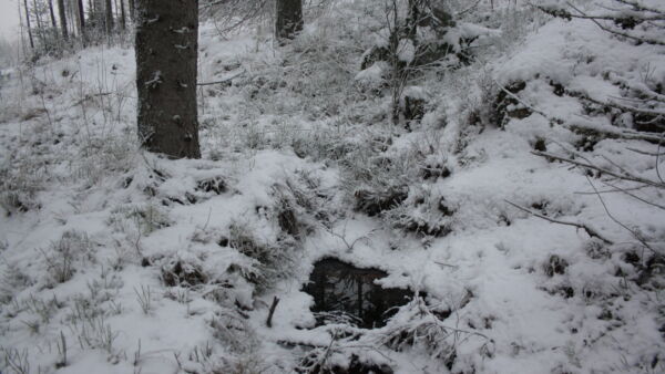 Metsänpohjassa voi olla pakkasista huolimatta märkyyttä. Hakkuu-urien täytyy antaa jäätyä ennen ajokoneen saapumista. (Kuvaaja: Valtteri Skyttä)