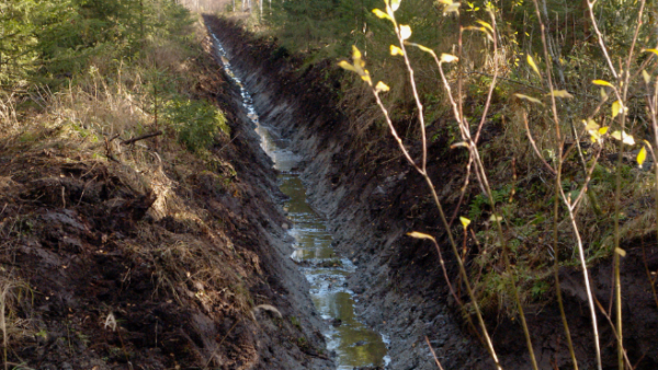 Kasvihuonekaasuinventaarion suurimat epävarmuudet liittyvät turvamaiden hiilivaraston arviointiin. (Kuva: Mikko Riikilä)