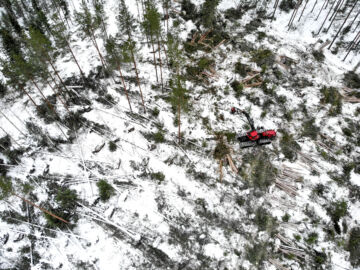 Metsä-Tuurinkoski Oy aloitti myrskytuhopuiden korjuun viime viikolla Ylistarosta muutama vuosi sitten harvennetusta männiköstä, jonka myrsky kaatoi lähes kokonaan. Tuulenkaatojen selvittely on hakkuukoneelle ja kuskille paljon normaalia työtä hitaampaa.  (Kuvaaja: Sami Karppinen)