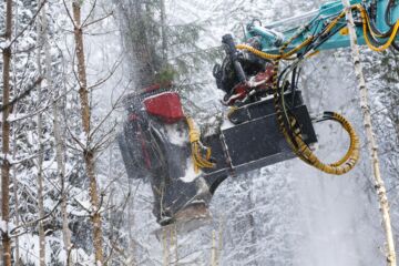 Energiapuun käytön kannalta tilanne on paras silloin, kun pakkasta on viidestä kymmeneen astetta. Silloin energiapuun käyttö on polttolaitoksissa maksimissaan. (Kuvaaja: Sami Karppinen)
