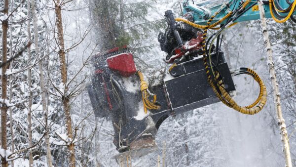 Energiapuun käytön kannalta tilanne on paras silloin, kun pakkasta on viidestä kymmeneen astetta. Silloin energiapuun käyttö on polttolaitoksissa maksimissaan. (Kuvaaja: Sami Karppinen)