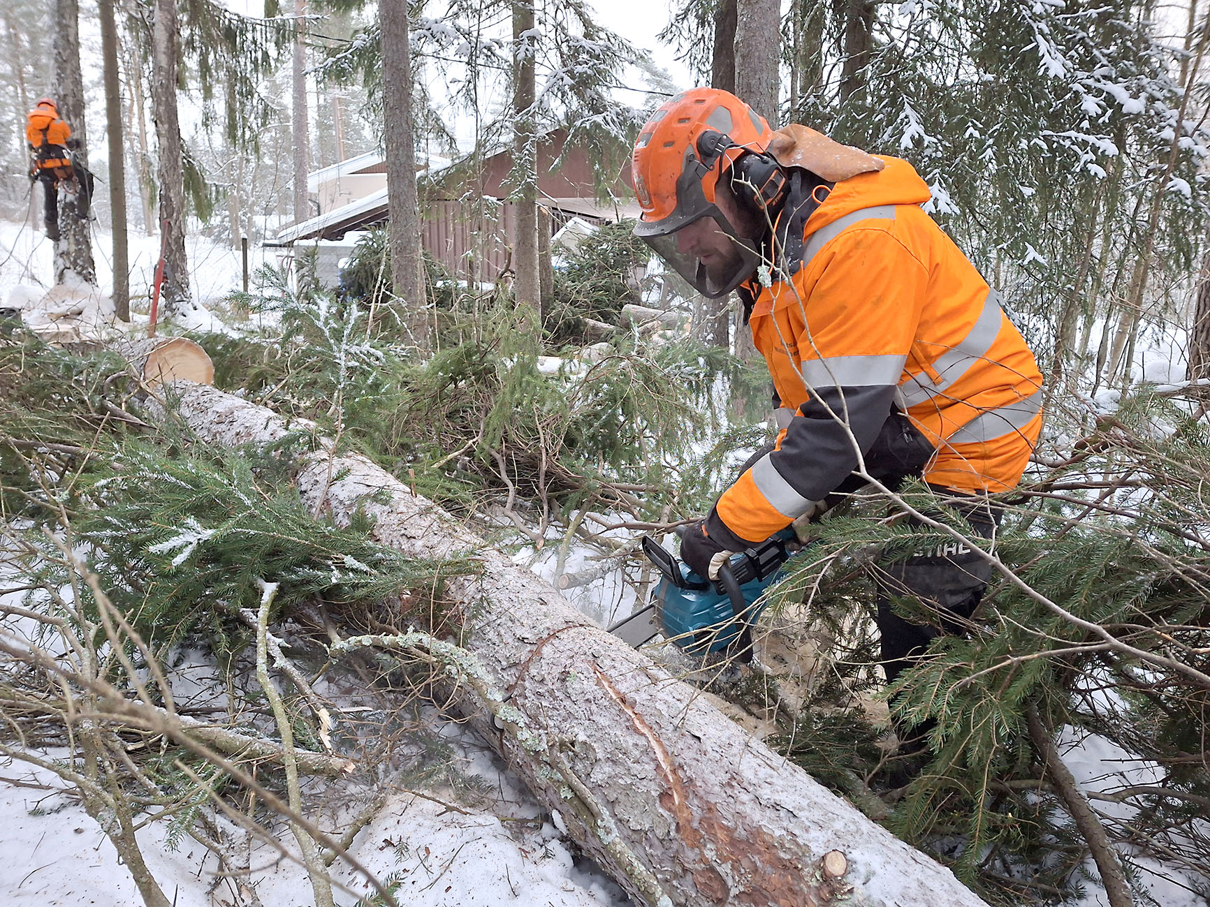 Kokeilussa Makitan uusi akkusaha – lisää voimaa pöllitykseen