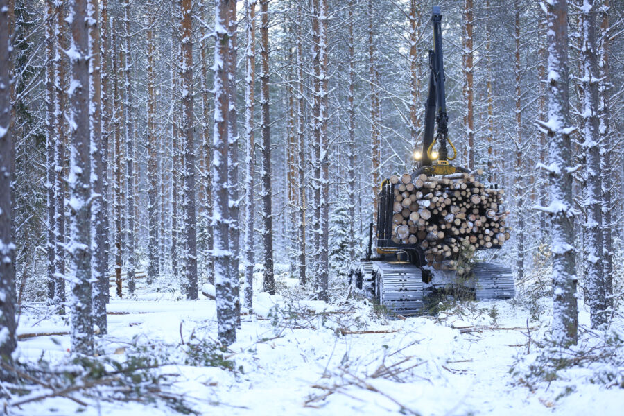 Monelta leimikolta saa nyt ajaa puita huoletta täysin kuormin. Suometsissä voi tarjolla olla silti pehmeitä yllätyksiä, sillä ilman urien polkemista ennakkoon eivät suometsät ole juuri jäätyneet kovista pakkasista ja vähäisestä lumesta huolimatta, (Kuvaaja: Sami Karppinen)