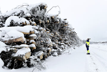 Kokkolan energian polttoainepäällikkö Petri Ahokangas sanoo, että puuta tarvitaan talvikaudella jatkossakin, vaikka sähkökattiloita valmistuu kovaa vauhtia. Kuva on vuodelta 2022. (Kuva: Esko Keski-Vähälä)