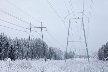 Sähkölinjan alle jäänyt pelto näyttää nyt tältä. 