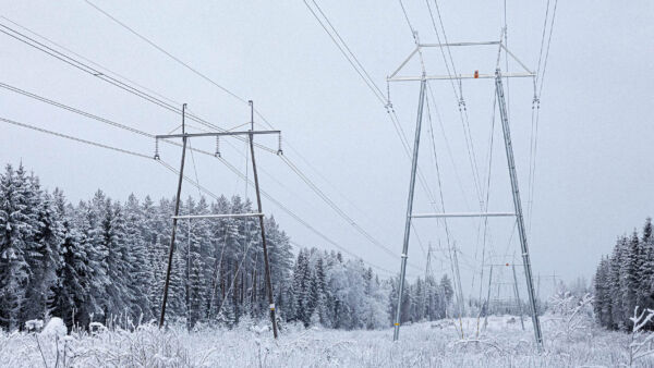 Sähkölinjan alle jäänyt pelto näyttää nyt tältä. 