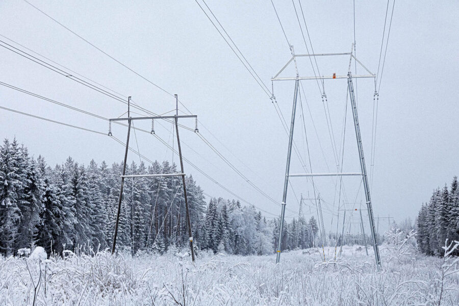 Sähkölinjan alle jäänyt pelto näyttää nyt tältä. 