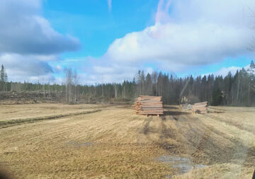 Kevät yllätti puunkorjaajat tänä vuonna totaalisesti. Maaliskuun alussa käynnistyneen lämpöjakson seurauksena puita on jäänyt poikkeuksellisen paljon peltovarastoihin ja talviteiden varsille. Nämä tukit odottavat jatkotoimenpiteitä Kokkolassa. (Kuva: Lukijan kuva.)