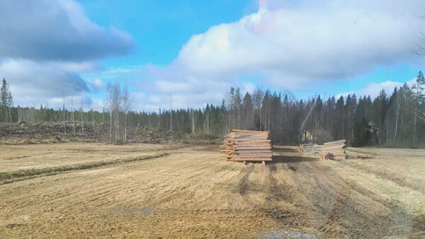 Kevät yllätti puunkorjaajat tänä vuonna totaalisesti. Maaliskuun alussa käynnistyneen lämpöjakson seurauksena puita on jäänyt poikkeuksellisen paljon peltovarastoihin ja talviteiden varsille. Nämä tukit odottavat jatkotoimenpiteitä Kokkolassa. (Kuva: Lukijan kuva.)