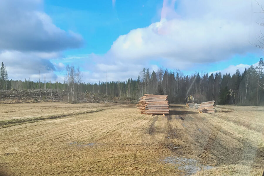 Kevät yllätti puunkorjaajat tänä vuonna totaalisesti. Maaliskuun alussa käynnistyneen lämpöjakson seurauksena puita on jäänyt poikkeuksellisen paljon peltovarastoihin ja talviteiden varsille. Nämä tukit odottavat jatkotoimenpiteitä Kokkolassa. (Kuva: Lukijan kuva.)
