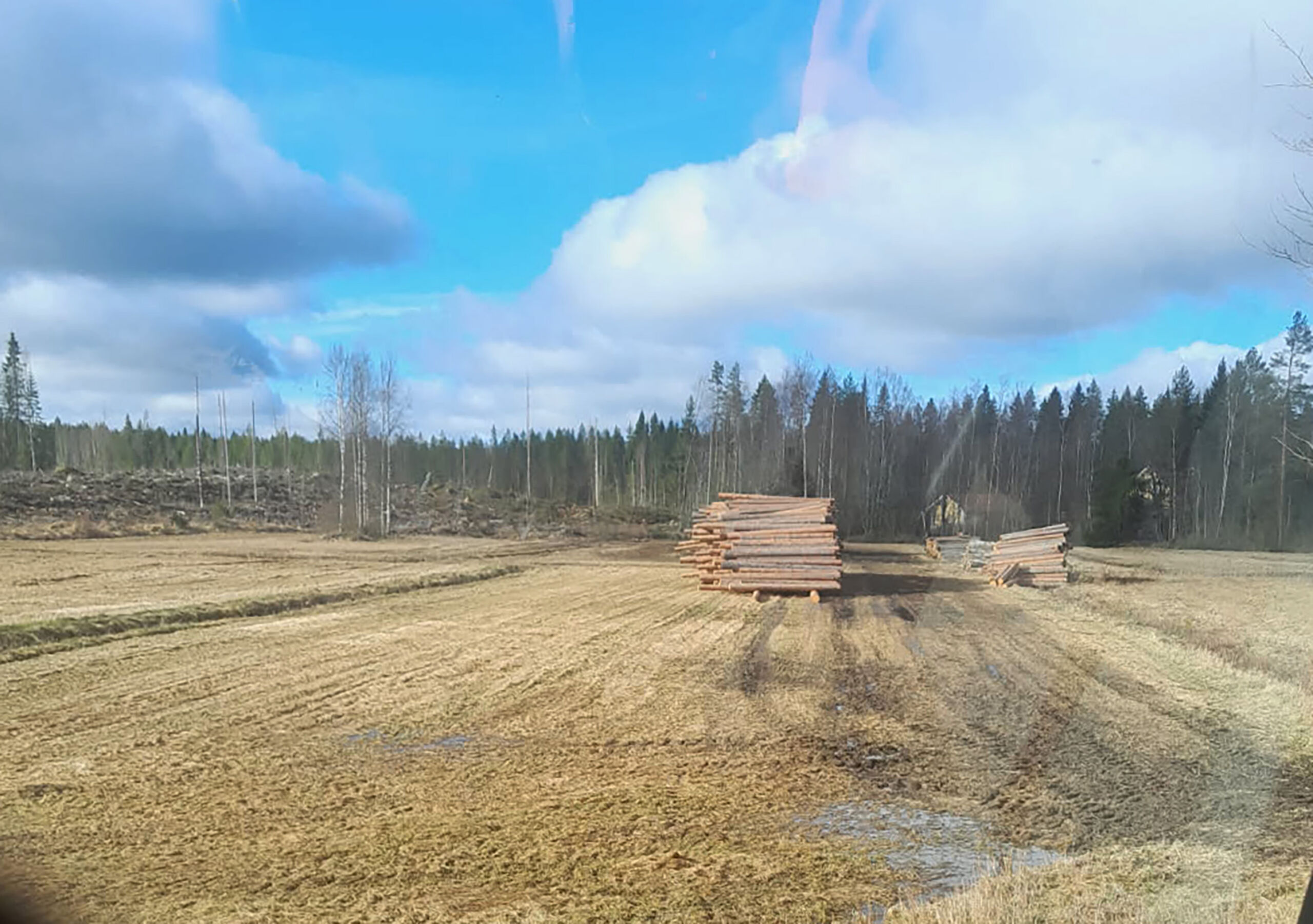 Toimittajan kommentti: Joko puukaupan talvihorros päättyy?
